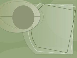 宠物打呼噜原因分析与健康提示